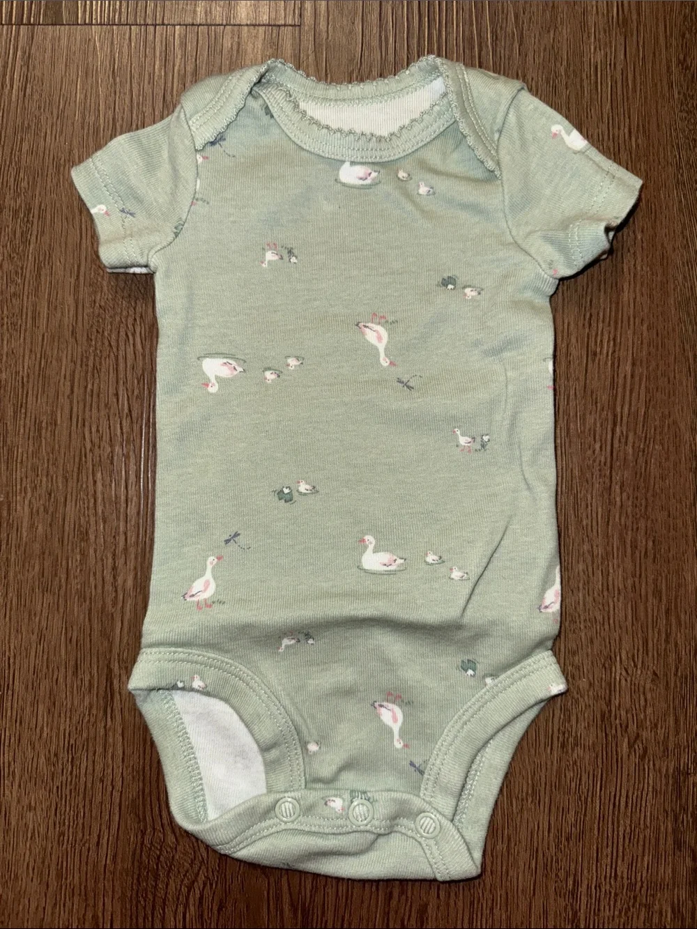 Carter’s Baby Girls One-Piece Bodysuits Bundle